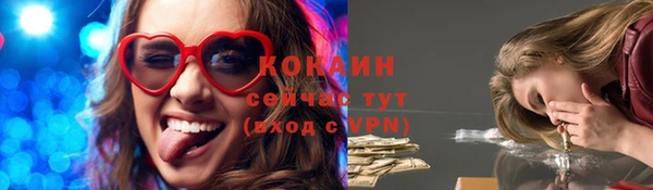 сатива Бронницы