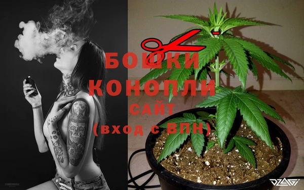 винт Бородино