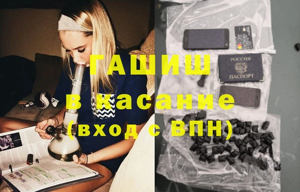 сатива Бронницы