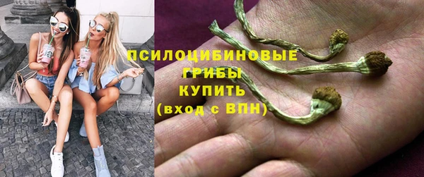 сатива Бронницы