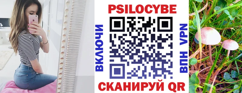 купить наркоту  Пересвет  Галлюциногенные грибы Psilocybe 